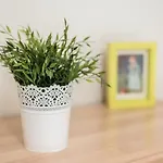 Guestready - Amaryllis