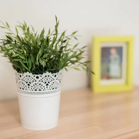 Guestready - Amaryllis